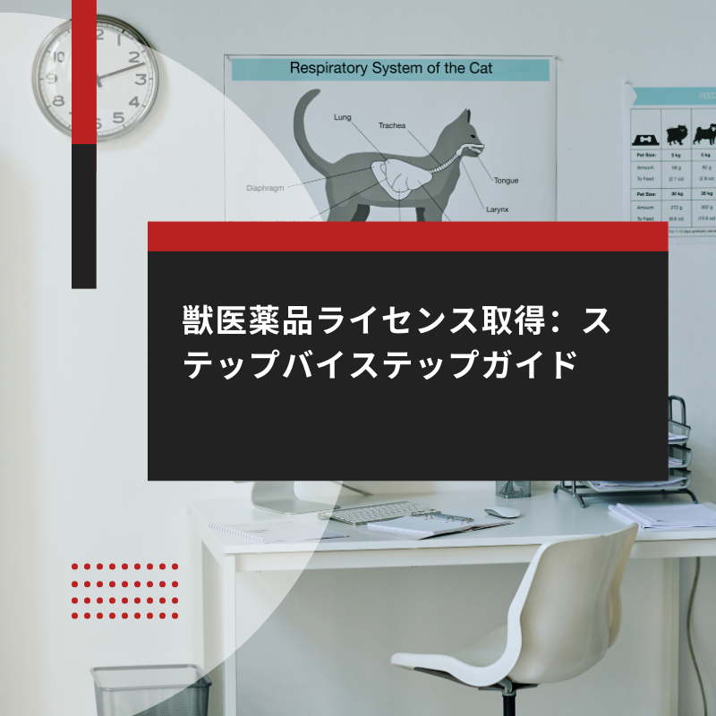 Veterinary-Medicine-Licensing-Step-by-Step-Guide-1